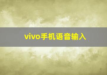 vivo手机语音输入