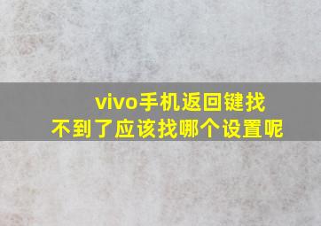 vivo手机返回键找不到了应该找哪个设置呢