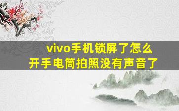 vivo手机锁屏了怎么开手电筒拍照没有声音了