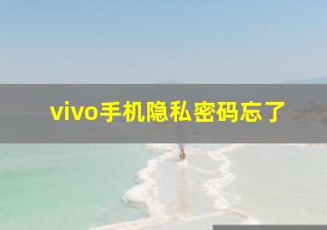 vivo手机隐私密码忘了