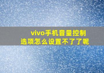 vivo手机音量控制选项怎么设置不了了呢