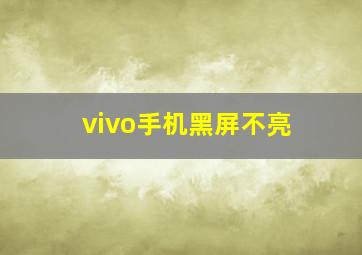 vivo手机黑屏不亮