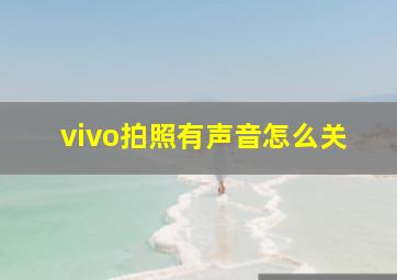 vivo拍照有声音怎么关