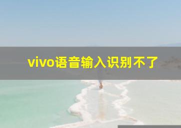 vivo语音输入识别不了