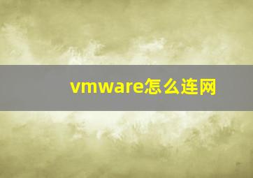 vmware怎么连网