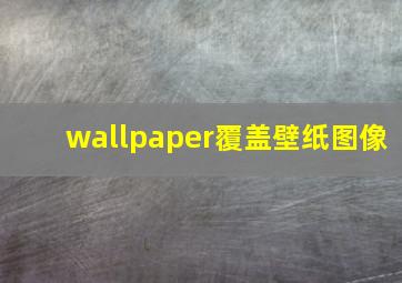 wallpaper覆盖壁纸图像