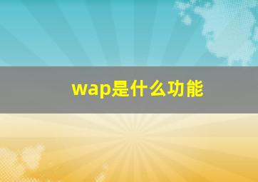 wap是什么功能