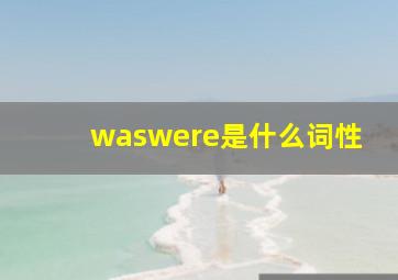 waswere是什么词性