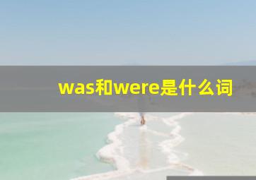 was和were是什么词