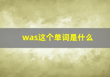 was这个单词是什么