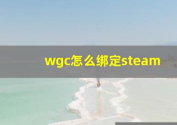 wgc怎么绑定steam