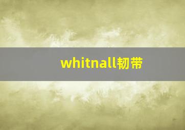 whitnall韧带