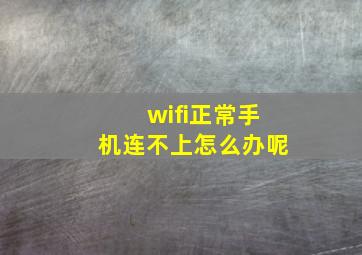 wifi正常手机连不上怎么办呢