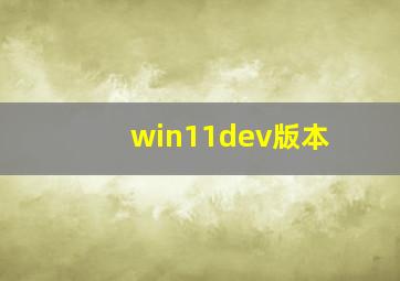 win11dev版本