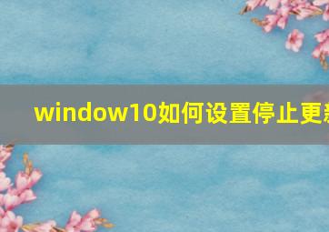 window10如何设置停止更新