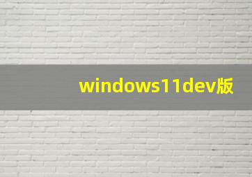 windows11dev版