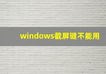 windows截屏键不能用