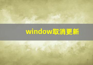 window取消更新