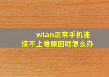 wlan正常手机连接不上啥原因呢怎么办