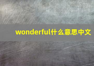 wonderful什么意思中文