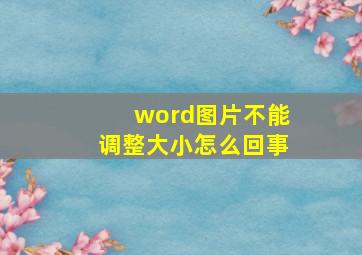 word图片不能调整大小怎么回事