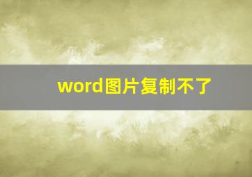 word图片复制不了