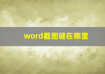 word截图键在哪里