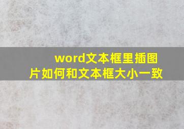 word文本框里插图片如何和文本框大小一致