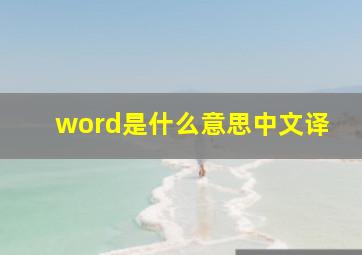 word是什么意思中文译