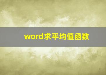 word求平均值函数