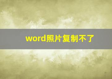 word照片复制不了