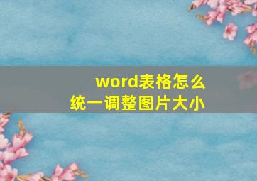 word表格怎么统一调整图片大小