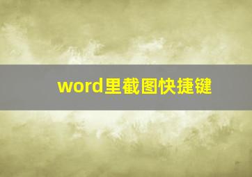 word里截图快捷键