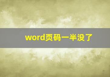 word页码一半没了