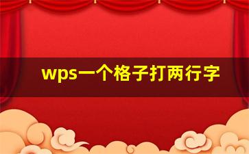 wps一个格子打两行字