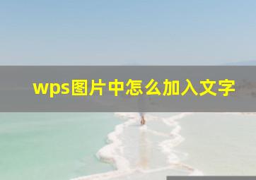 wps图片中怎么加入文字