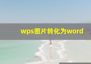 wps图片转化为word