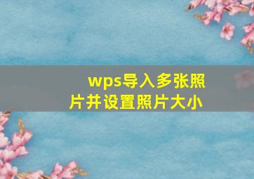 wps导入多张照片并设置照片大小