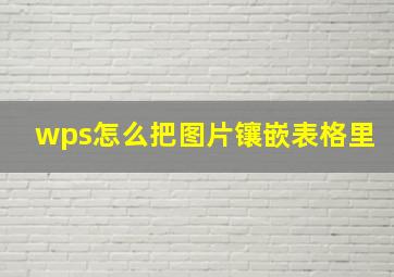 wps怎么把图片镶嵌表格里