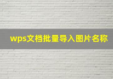 wps文档批量导入图片名称