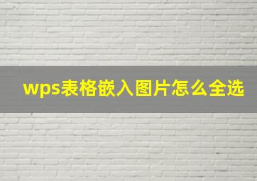 wps表格嵌入图片怎么全选