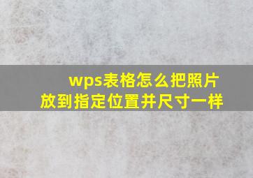 wps表格怎么把照片放到指定位置并尺寸一样