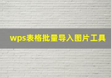 wps表格批量导入图片工具