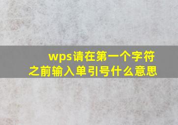 wps请在第一个字符之前输入单引号什么意思