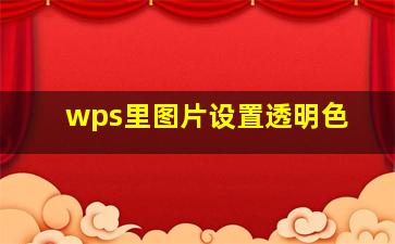 wps里图片设置透明色