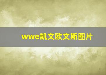 wwe凯文欧文斯图片