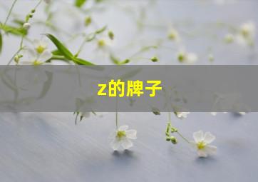 z的牌子