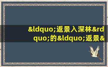 “返景入深林”的“返景”指的是