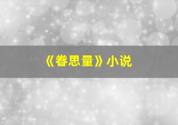 《眷思量》小说