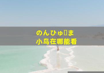 のんひゅーま小鸟在哪能看